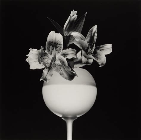 Robert Mapplethorpe 1987 Robert Mapplethorpe Tiger Lily Flower Images Flower Photos Black