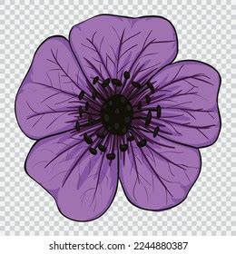 Purple Flower Drawing Vector Illustrations Botanical Stock Vector ...