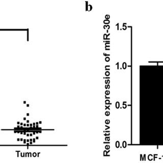 Mir E Expression Is Downregulated In Breast Cancer Tissues And Cell