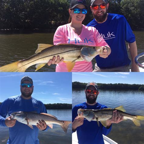 Tampa Bay Snook And Redfish Fishing Charters St Pete Beach Tampa Bay FL