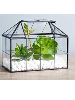 Amazon Ferrisland Glass Terrarium Greenhouse House Shape Display