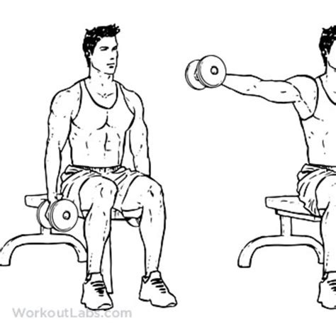 Seated Shoulder Lateral Raise by Red J. - Exercise How-to - Skimble