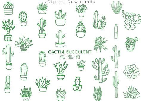 Cactuses And Succulents Are Drawn In Green Ink