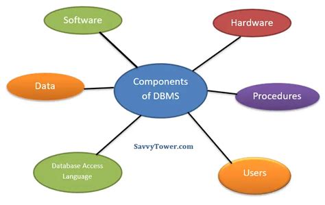 Components Of Database Management System With Diagram Databa