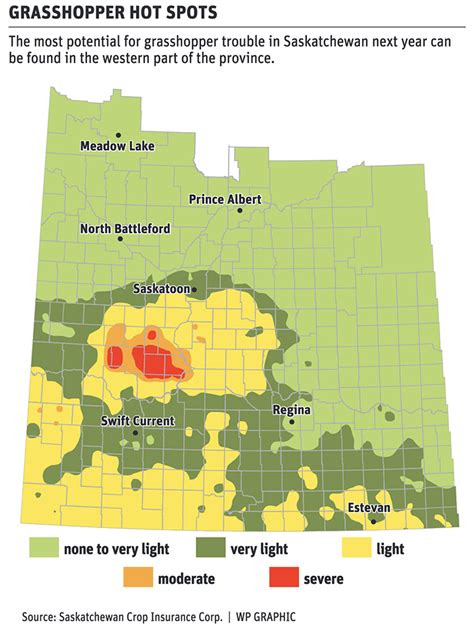 More Dryness Could Worsen Grasshopper Outlook The Western Producer