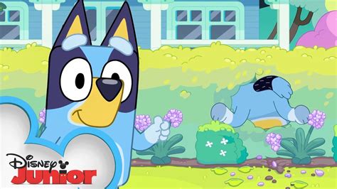 Bluey Season 3 Episode 39 Exercise Episode Clip Disneyjr X