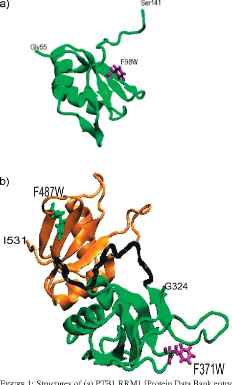 Figure From The Domains Of Polypyrimidine Tract Binding Protein Have