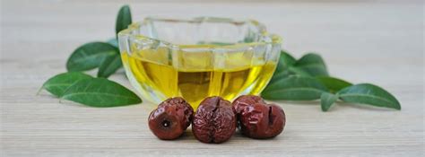 Beneficios Y Propiedades Del Aceite De Jojoba CanalSALUD