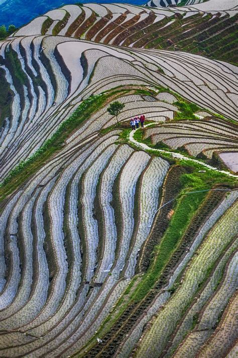 An Aerial View Of Rice Terraces In The Mountains