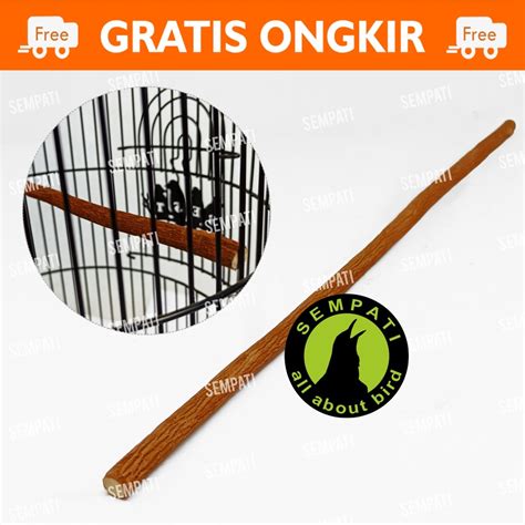 Jual Tangkringan Pleci Kayu Asem Jawa Alami Grade A Premium Tangkringan