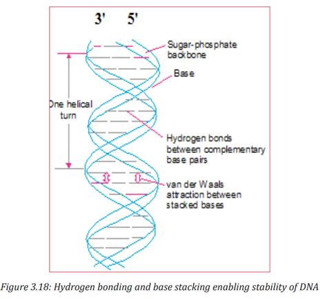 Course Biology Sme Copy Topic Unit Nucleic Acids Dna