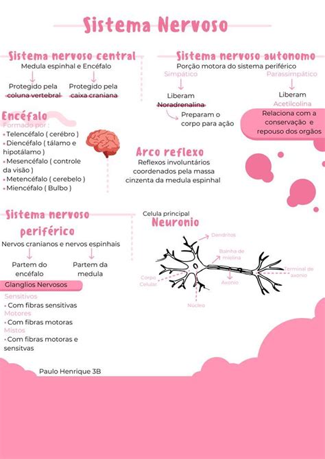 Mapa Mental Sobre Sistema Nervoso Study Maps Artofit