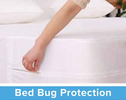 Bed Bug Protection Encasement Twin Full Queen Or King Pack