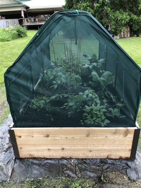 Season Garden Protection Tent X Raised Bed Cover Gardeners