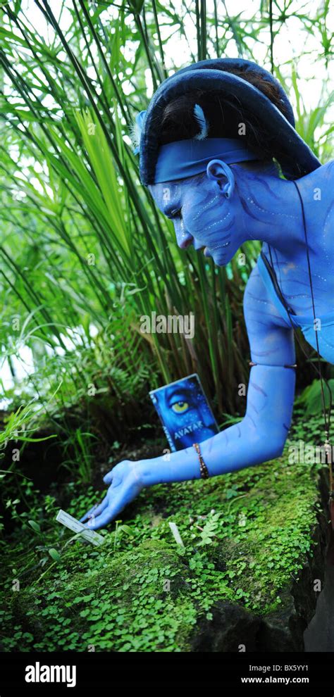 Avatar Blu Ray Disc And DVD Launch Stock Photo Alamy