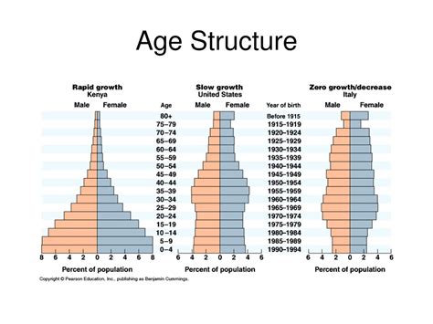 Different Age Structure Diagrams Using Y And X Axis Sectio