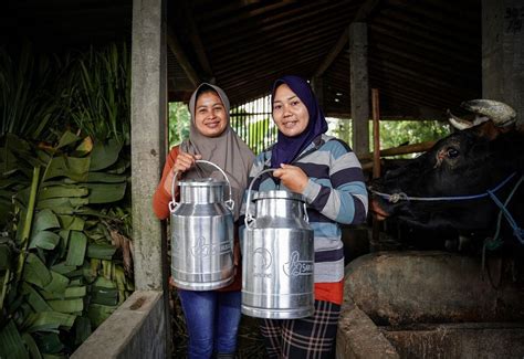 Jaga Ketahanan Pangan Indonesia melalui Pemberdayaan Peternak Sapi ...