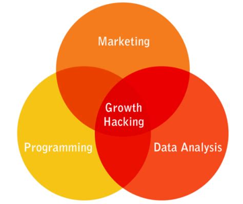 Diventare Sviluppatore Web E Growth Hacker Cosa Significa E Quali Sono