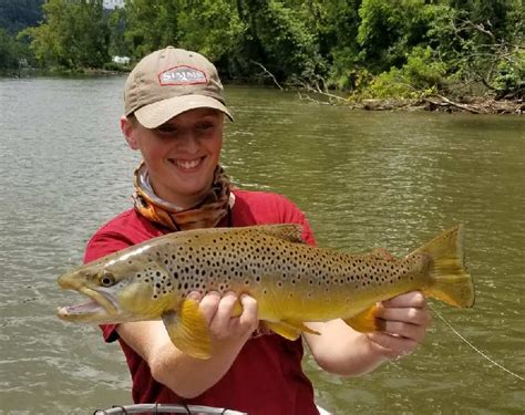 Watauga River Fly Fishing Report Watauga River Guides