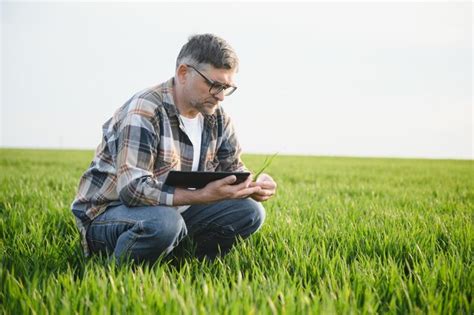 Retrato De Agr Nomo Agricultor Senior En Campo De Trigo Exitosa