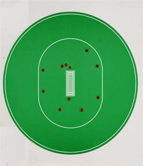 The Anatomy of a Cricket Pitch: A Detailed Diagram