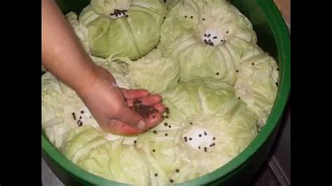 Kiseljenje Kupusa Sauerkraut Recipe Cabbage Kraut YouTube