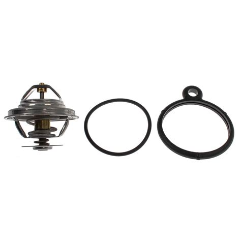 Mahle Thermostat With Gasket Tx D