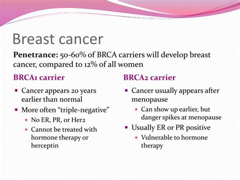 Ppt Breast And Ovarian Cancer Brca1 And Brca2 Powerpoint Presentation