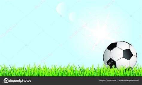 Banner Soccer Ball Grass Lawn Soccer Ball Green Grass Blue Stock Vector Image By