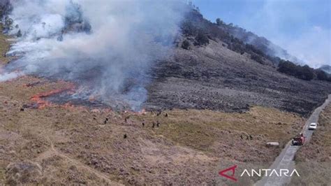 Kawasan Gunung Bromo Ditutup Total Imbas Kebakaran Saat Foto Prewedding