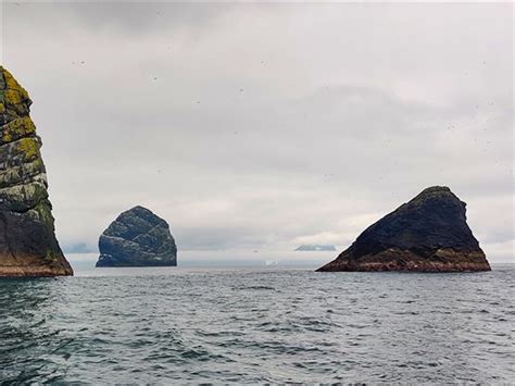 Outer Hebrides And St Kilda Wildlife Tour Scotland Responsible Travel