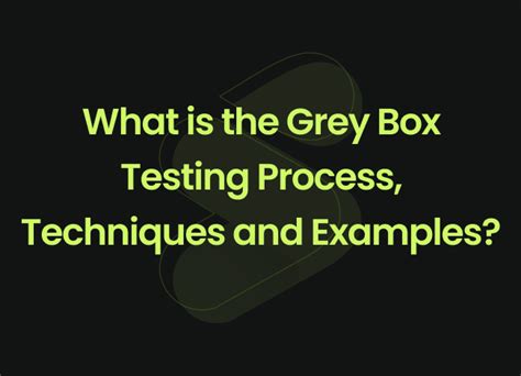 Grey Box Testing Process Techniques And Examples By SIZNAM