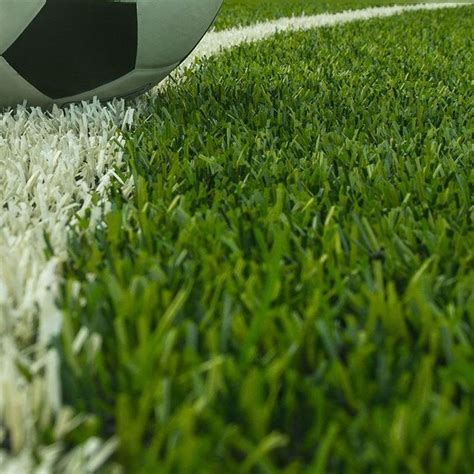 Купить Газонная травосмесь ИГРОВАЯ 1кг в Санкт-Петербурге | Семена