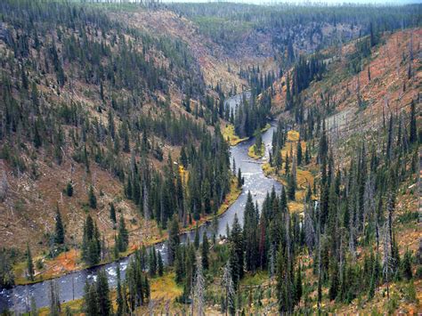 Lewis River Canyon: the Southeast, Yellowstone National Park, Wyoming