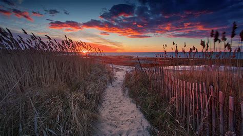 Beach Sunset And Fence Art Print Photograph By Darius Aniunas Fine