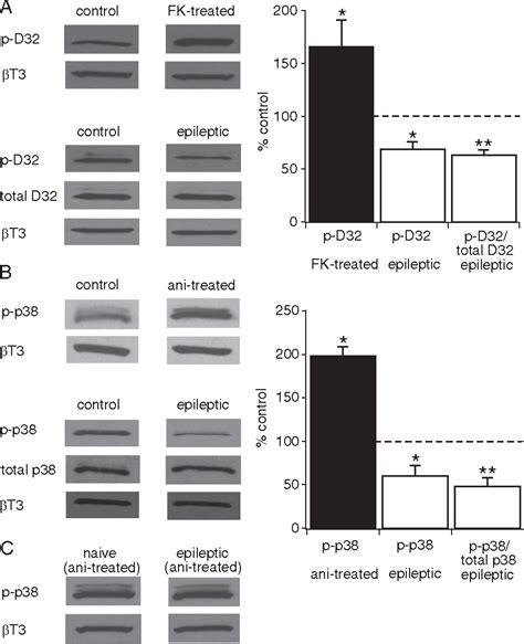 Figure 1 From Downregulation Of Dendritic HCN Channel Gating In