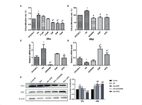 Apigenin Inhibits The Tumor Promoting Effect Of Histamine By