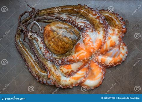 Pulpo Crudo Entero En Una Tabla De Piedra Negra Comida Sana Del