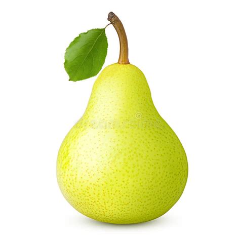 Pear Isolated On White Background Stock Image Image Of Design