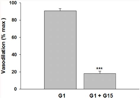 Effect Of The Specific Gper Antagonist G On G Vasodilation In