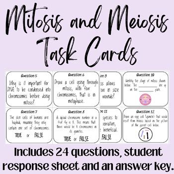 Mitosis And Meiosis Review Task Cards By Biology With Alyssa Tpt