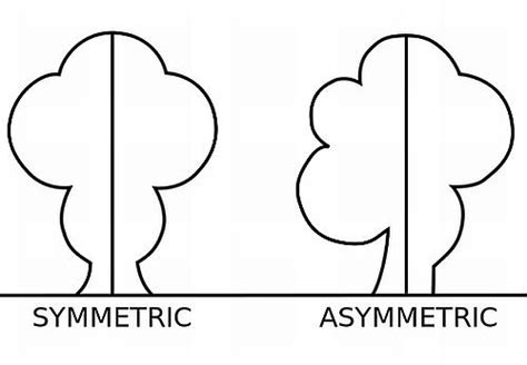 Interrelationship of Symmetry and Asymmetry with Balance and Harmony in ...