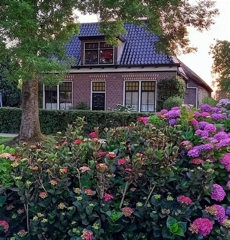 THE 10 BEST Hotels in Giethoorn for 2022 (from $71) - Tripadvisor