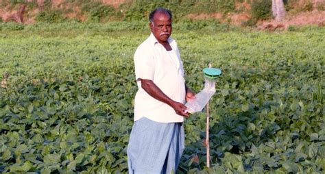 Organic Farming Fetches Higher Returns For Puducherry Farmers Village Square