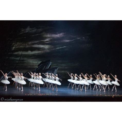 Ballet Dancers In White Tutus On Stage