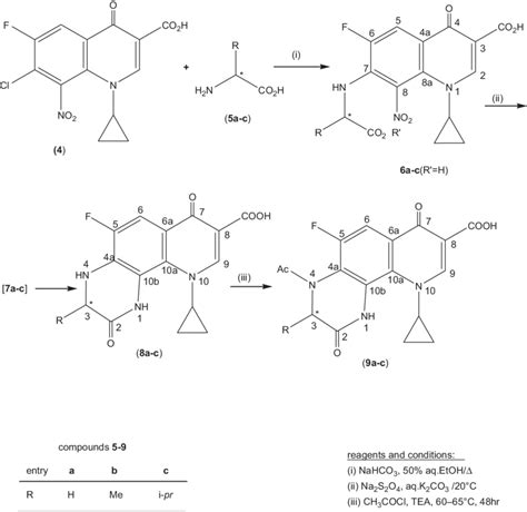 Scheme 1 Synthesis Of N 4 Acetylated Download Scientific Diagram