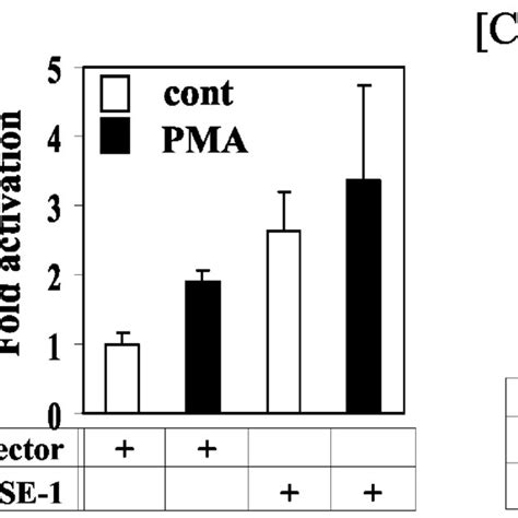 Ese 1 Synergistically Transactivates C Jun Enhanced Sprr1b Download Scientific Diagram