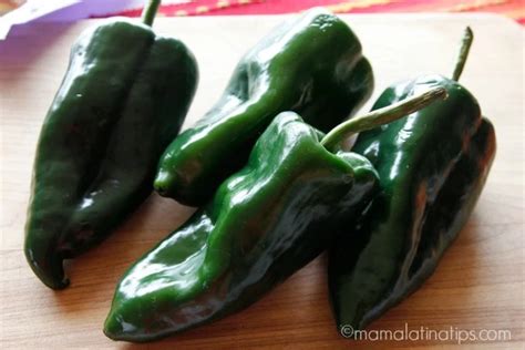 How To Peel Poblano Peppers • Mama Latina Tips