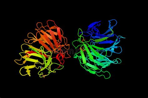 Ligase Mechanism Stock Photos Free Royalty Free Stock Photos From