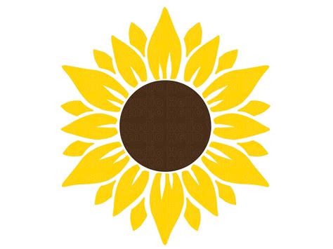 Girasol Svg Flor Svg Descarga Digital Clipart Girasol En Apuros